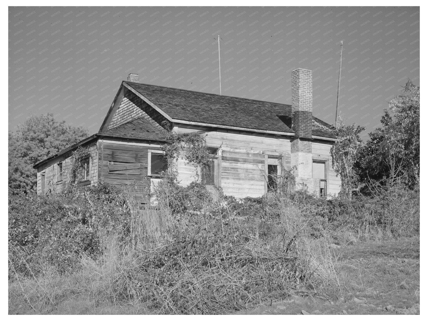 Placer County California Yards December 1940