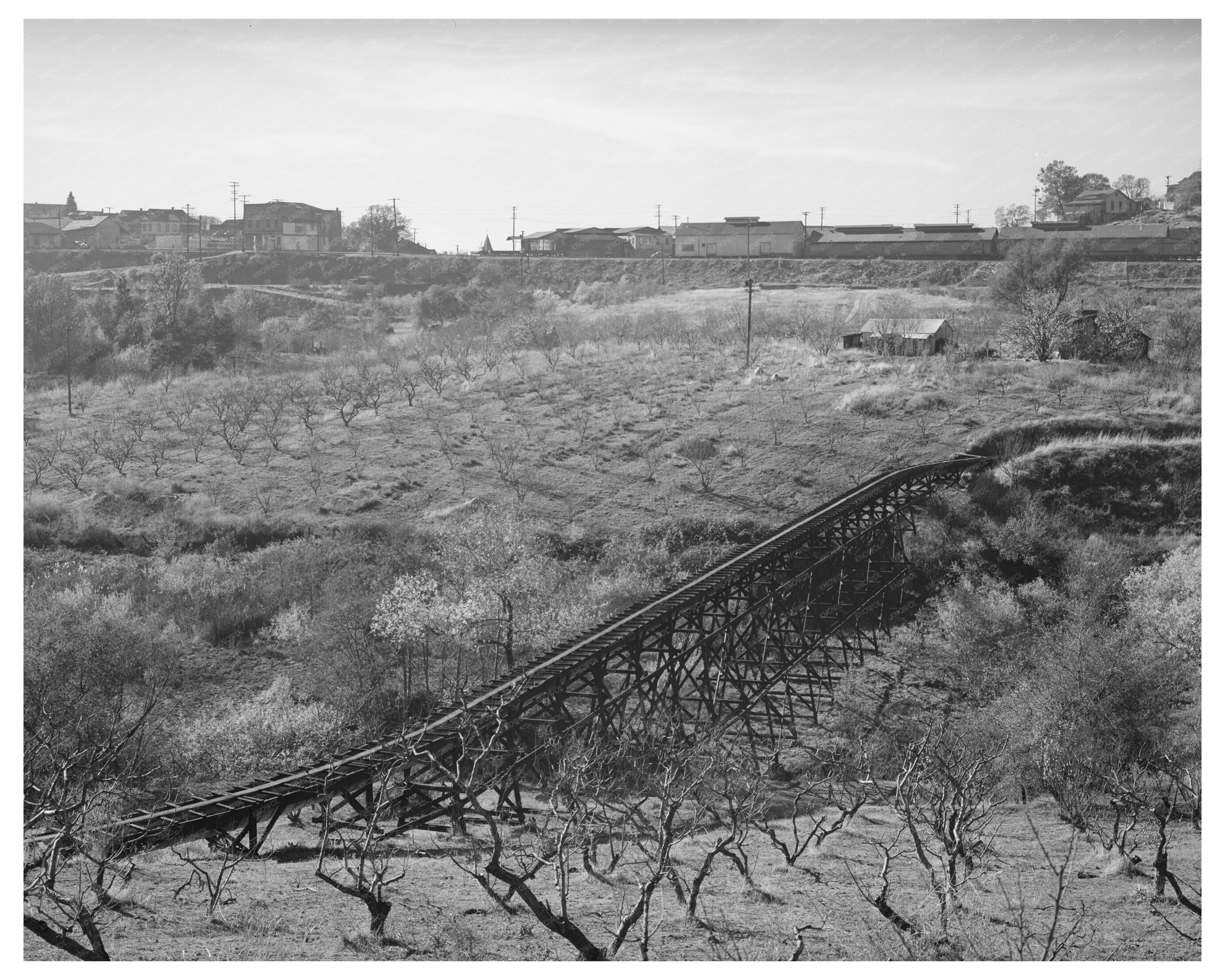 Vintage 1940 Irrigation Pipe Placer County California