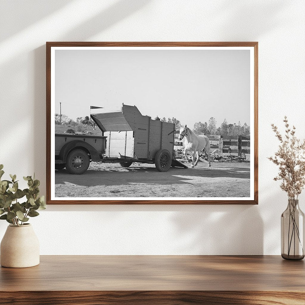 Vintage Farm Scene Placer County California December 1940