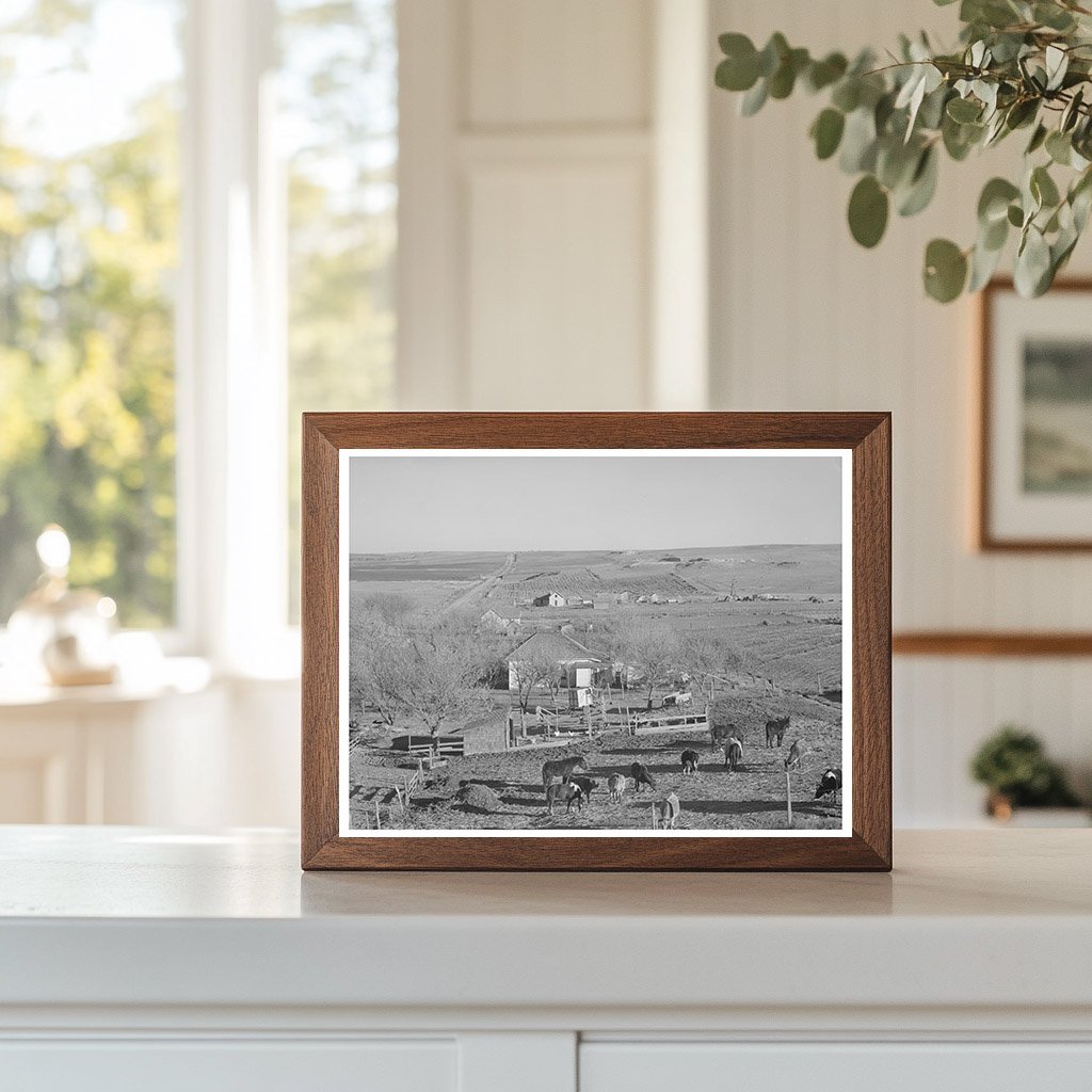 Vintage Farmstead in Norton County Kansas January 1941