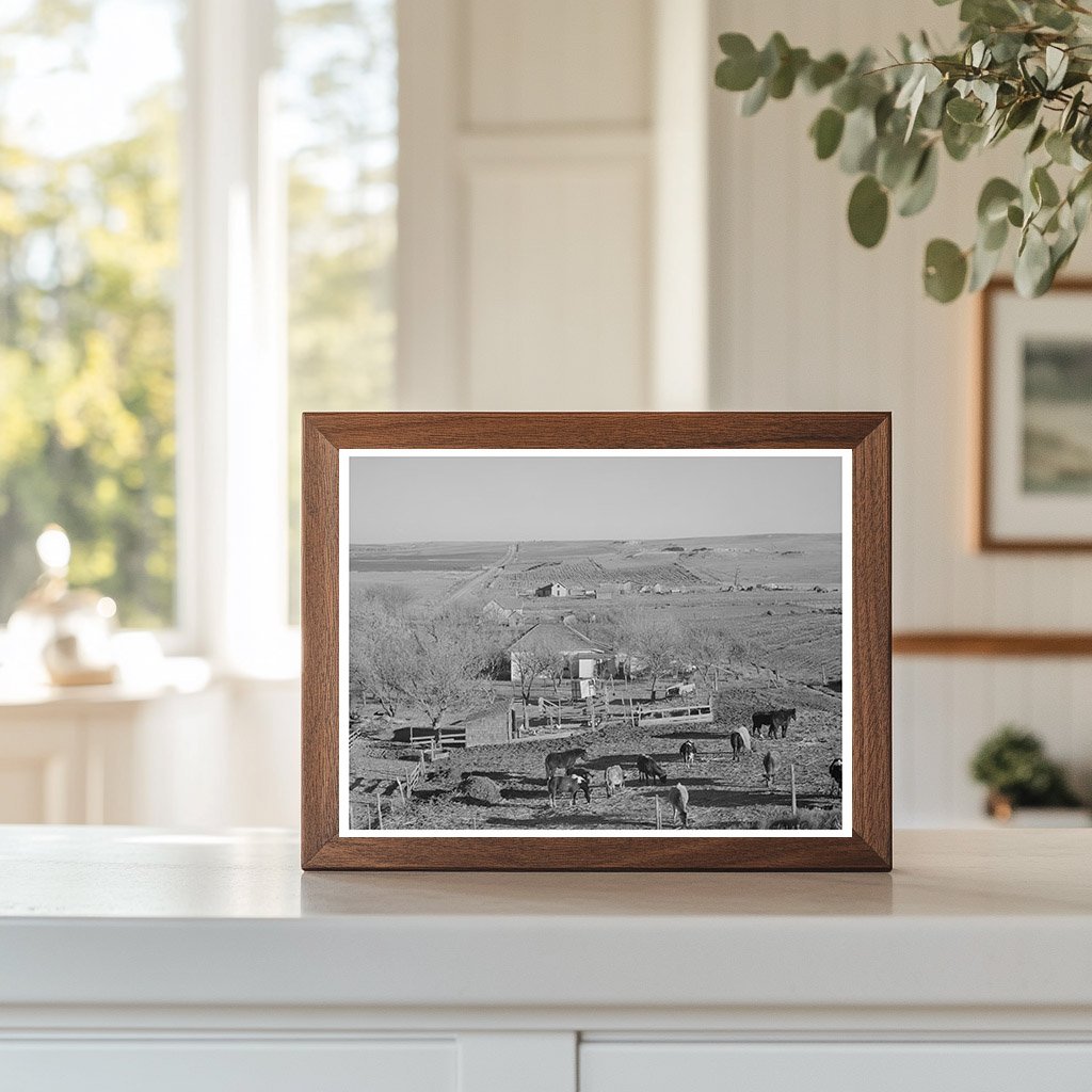 Farmstead and Farmland in Almena Kansas January 1941