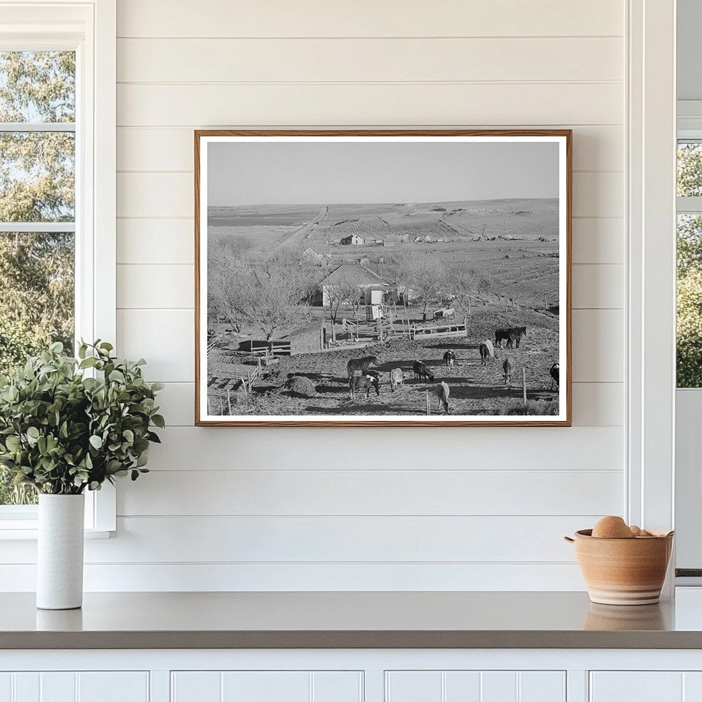 Farmstead and Farmland in Almena Kansas January 1941