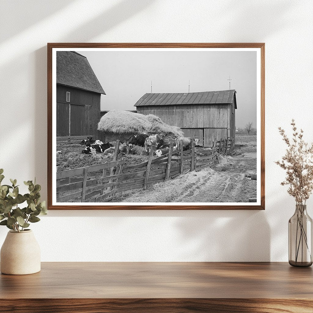 Barnyard Scene in Hancock County Ohio April 1941