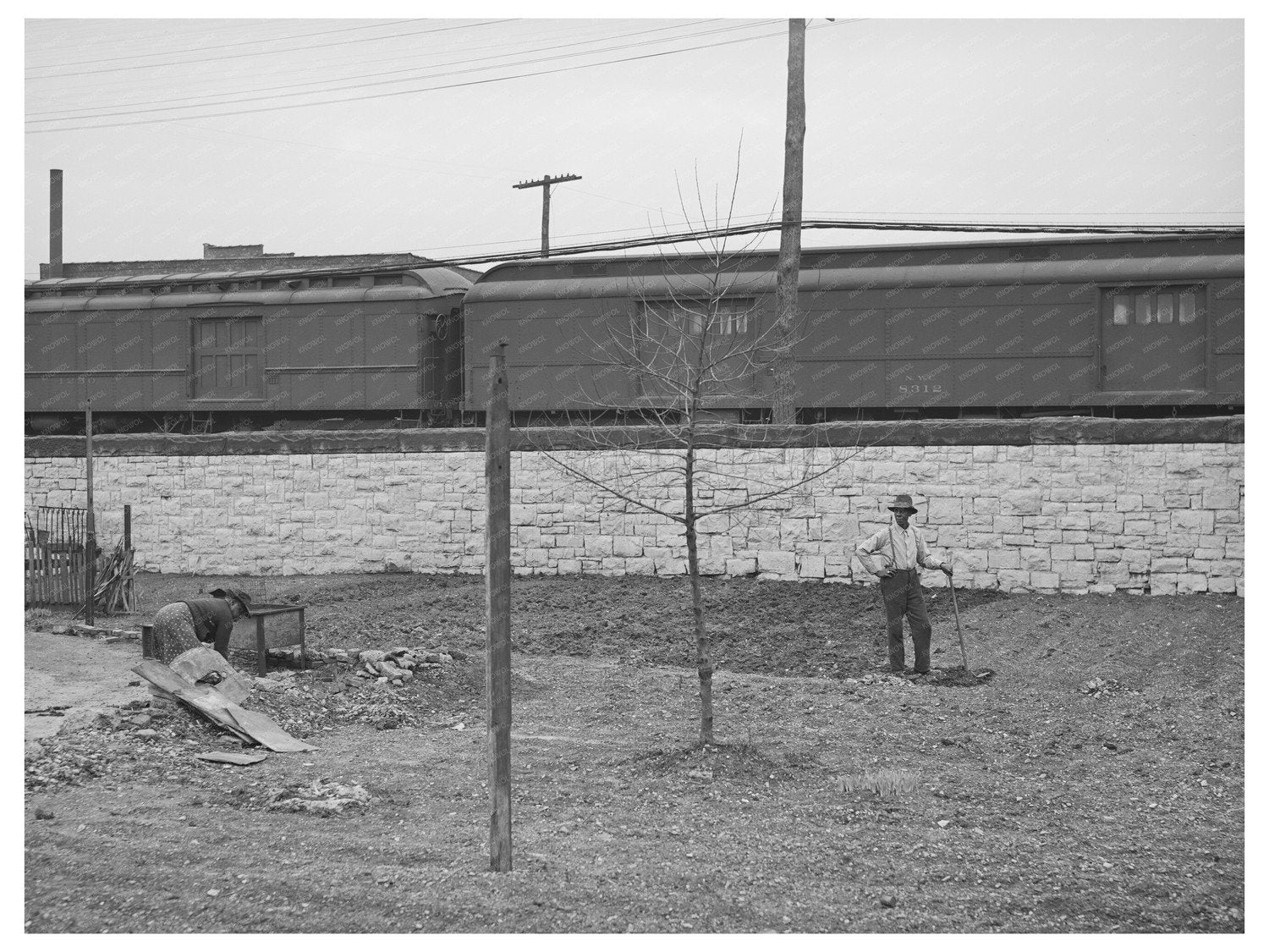 Spring Gardening Chicago 1941 FSA OWI Collection