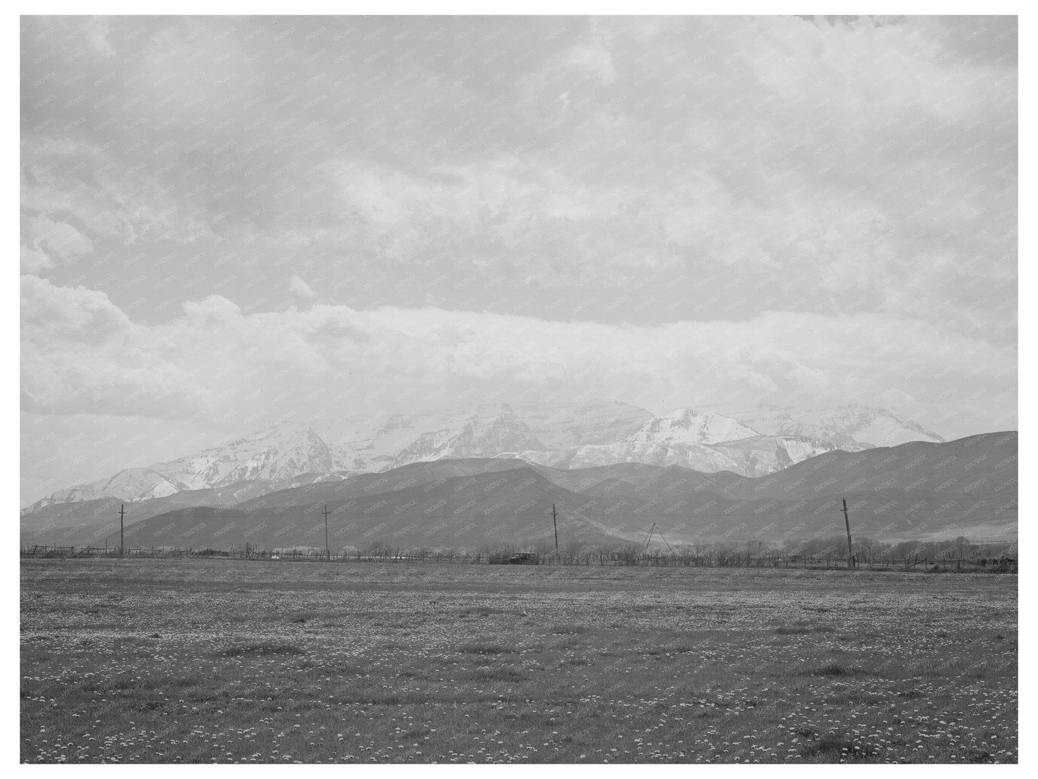 Spring Pasture with Uinta Mountains Heber Utah 1941