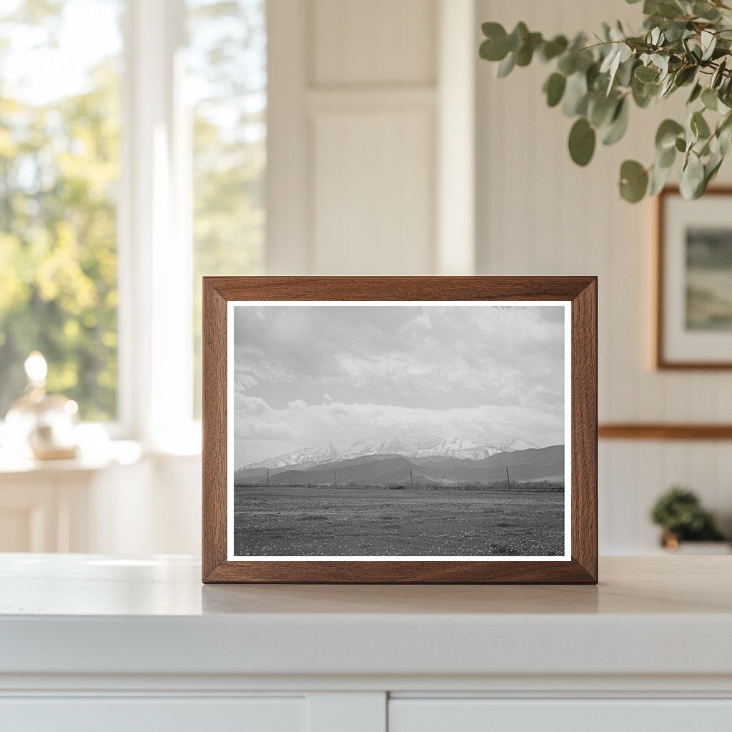 Spring Pasture with Uinta Mountains Heber Utah 1941