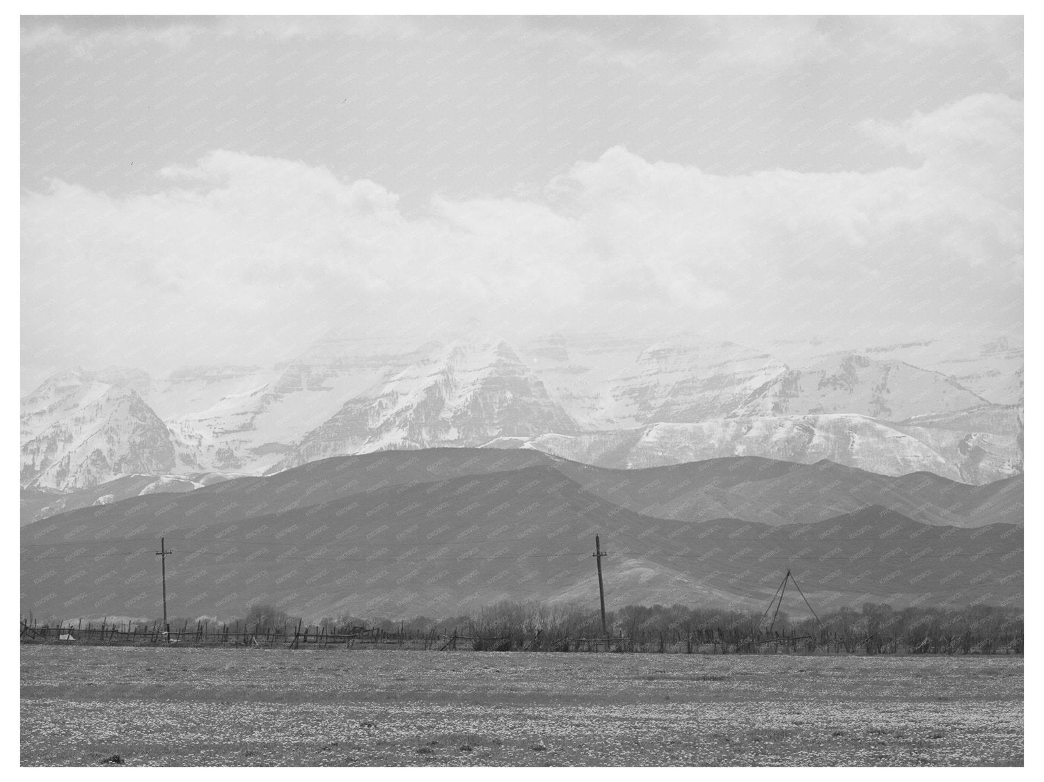 Spring Pasture in Heber Utah with Uinta Mountains 1941