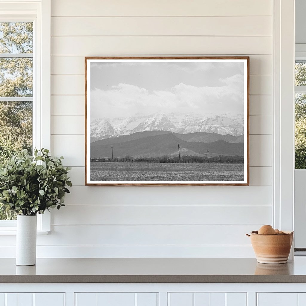 Spring Pasture in Heber Utah with Uinta Mountains 1941