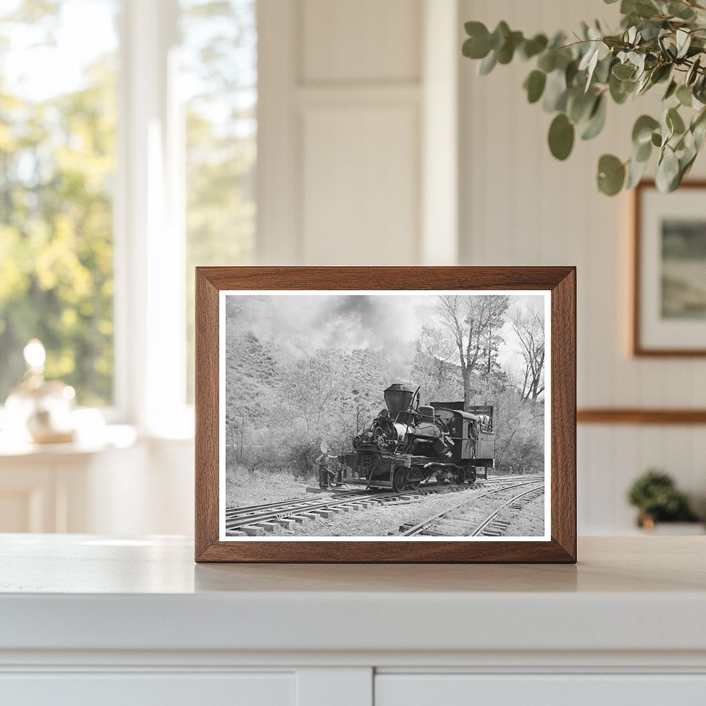 Logging Train Locomotive Baker County Oregon May 1941