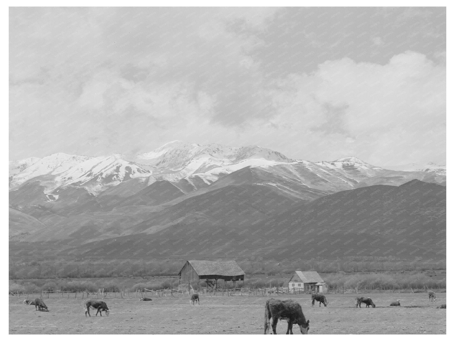 Serene Spring Landscape in Heber Utah May 1941