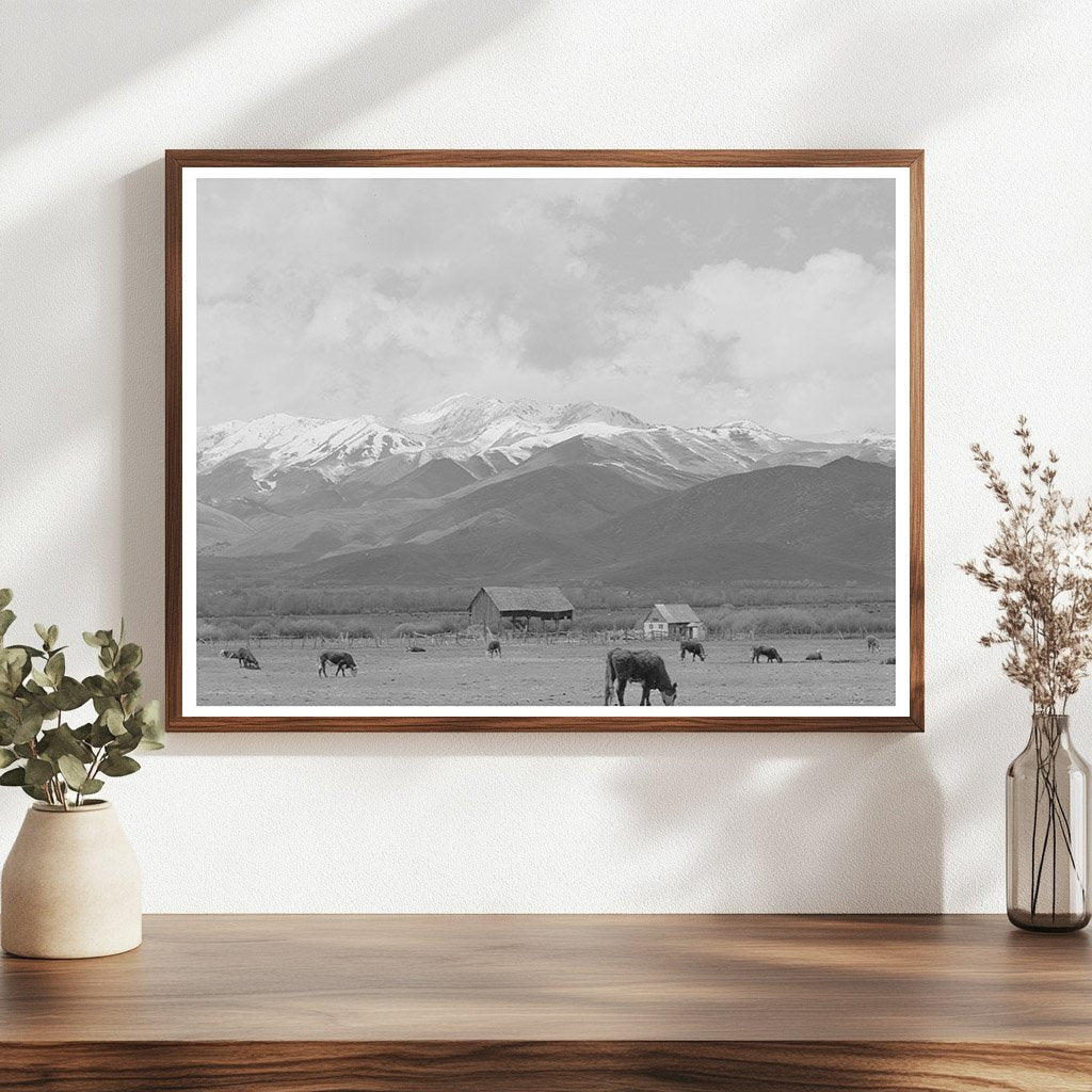 Serene Spring Landscape in Heber Utah May 1941
