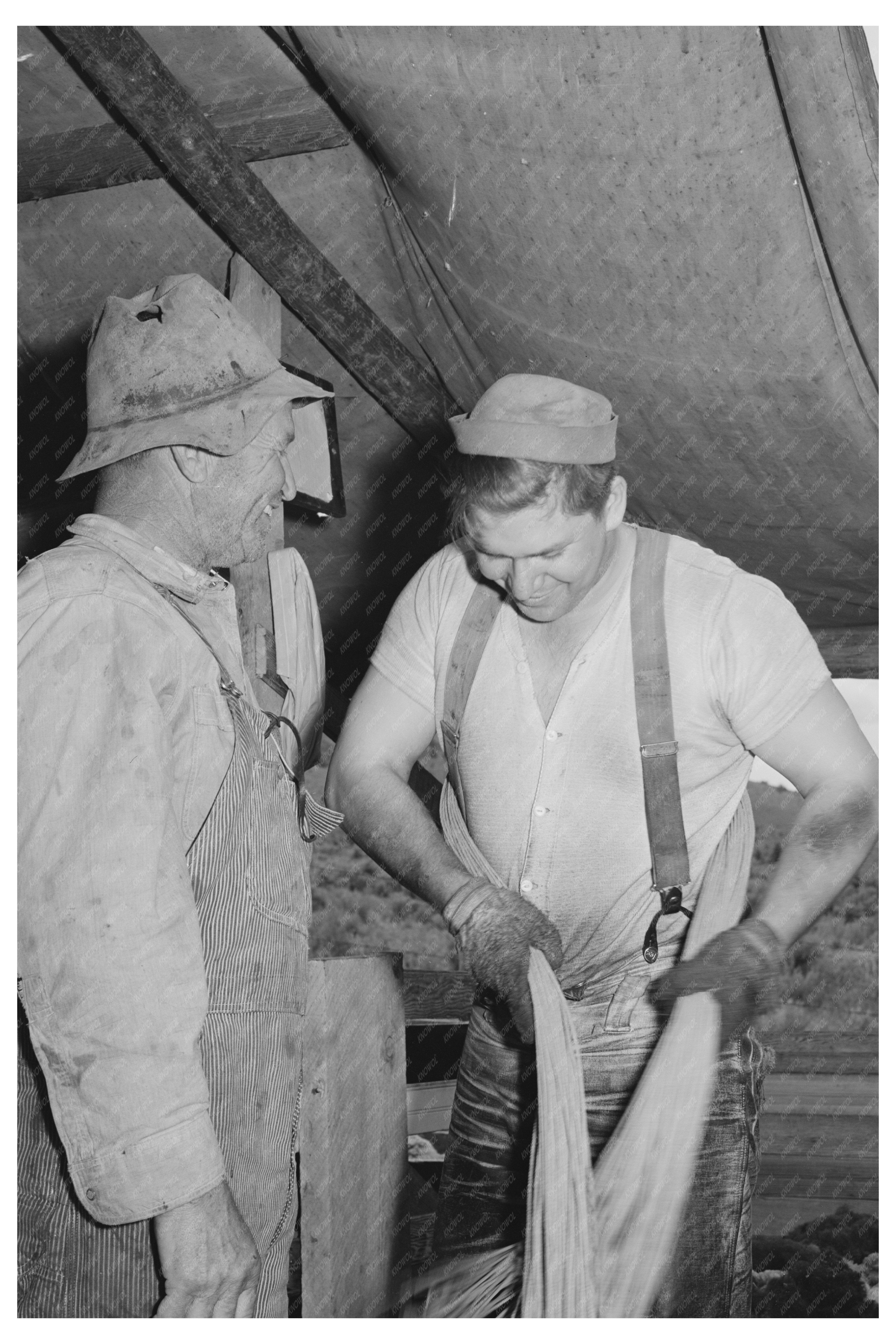 Sheep Shearers on Malheur County Ranch May 1941