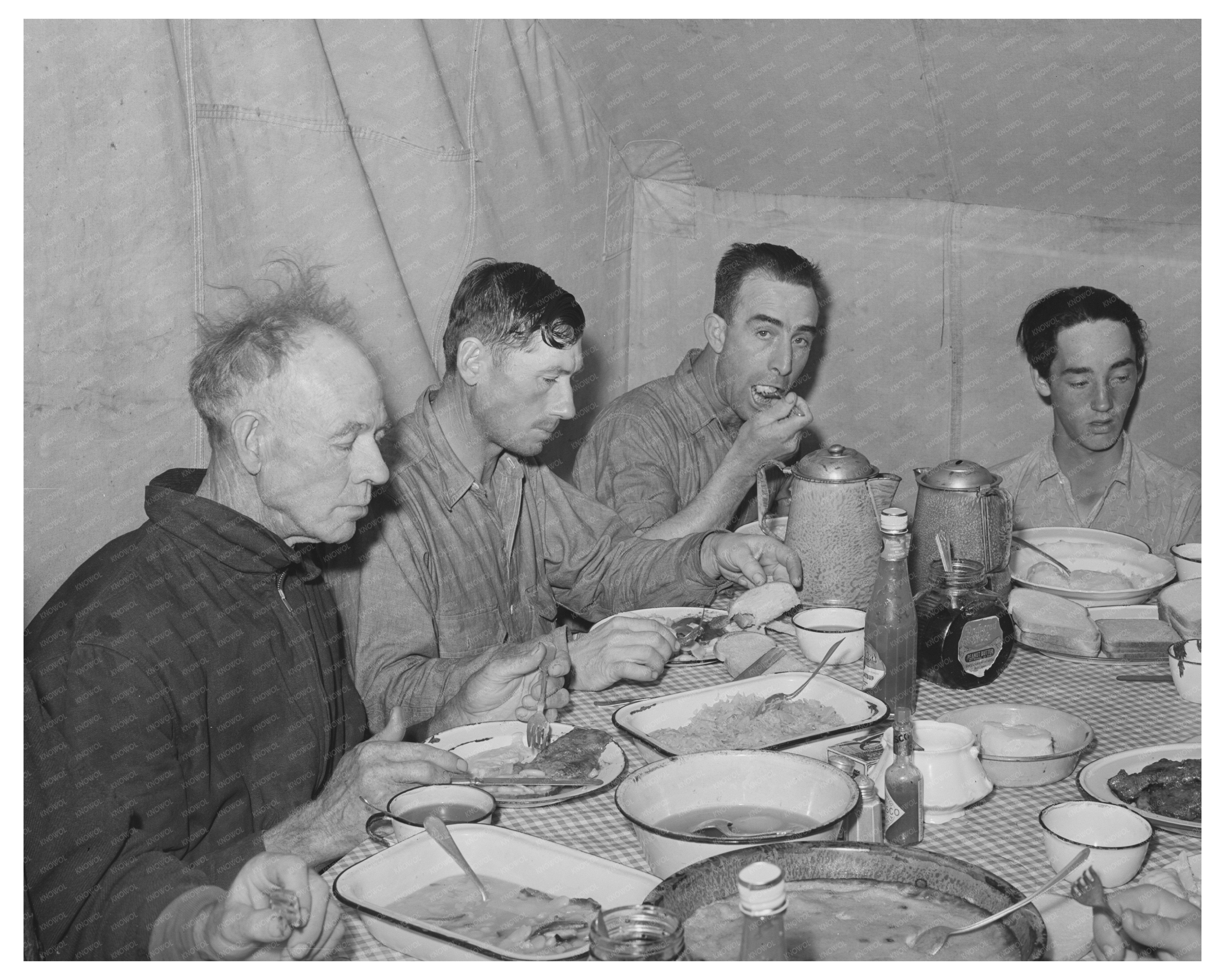 Sheep Shearers Dining at Oregon Ranch May 1941
