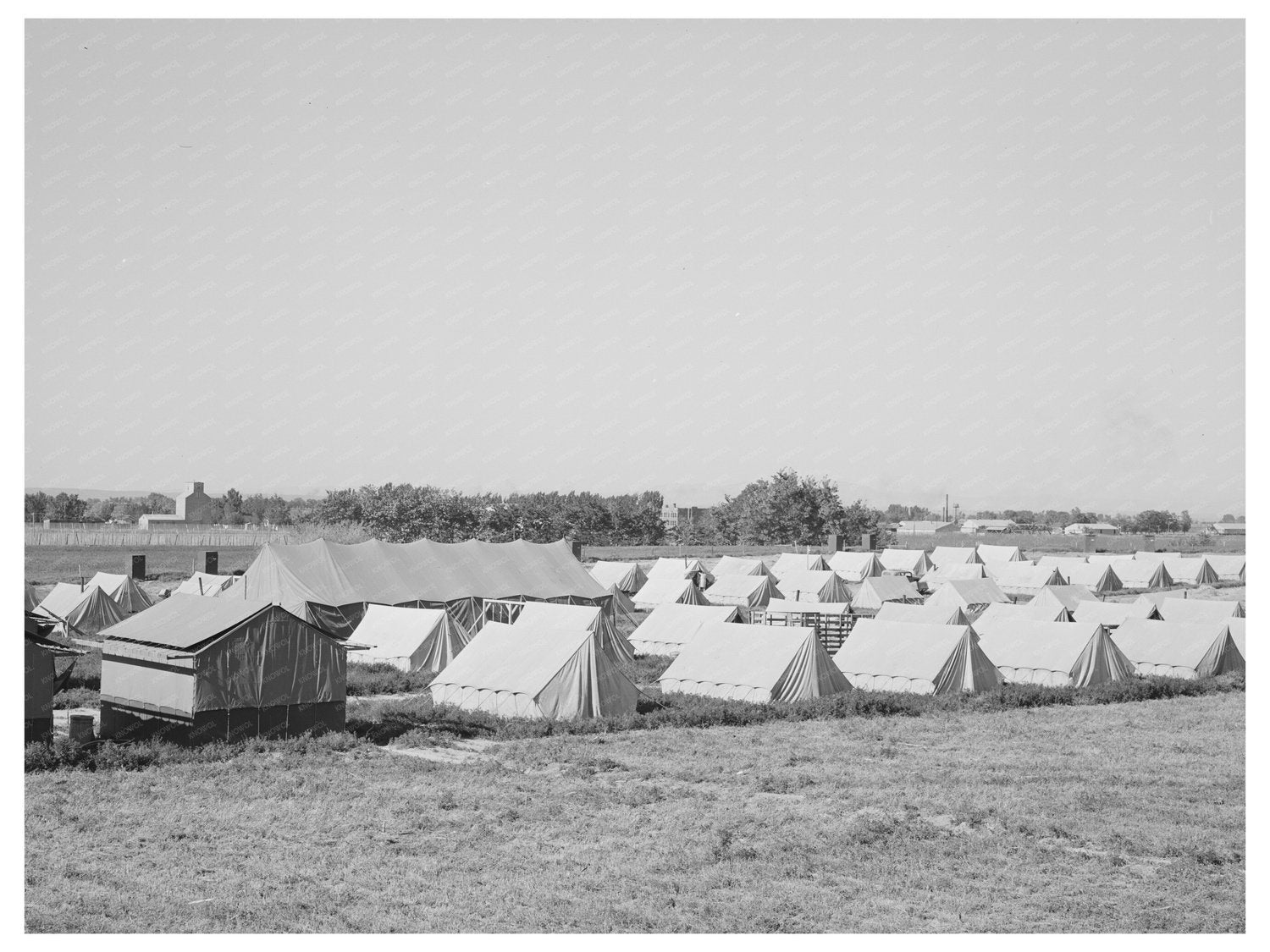 Tents at 1941 Migratory Labor Camp in Idaho