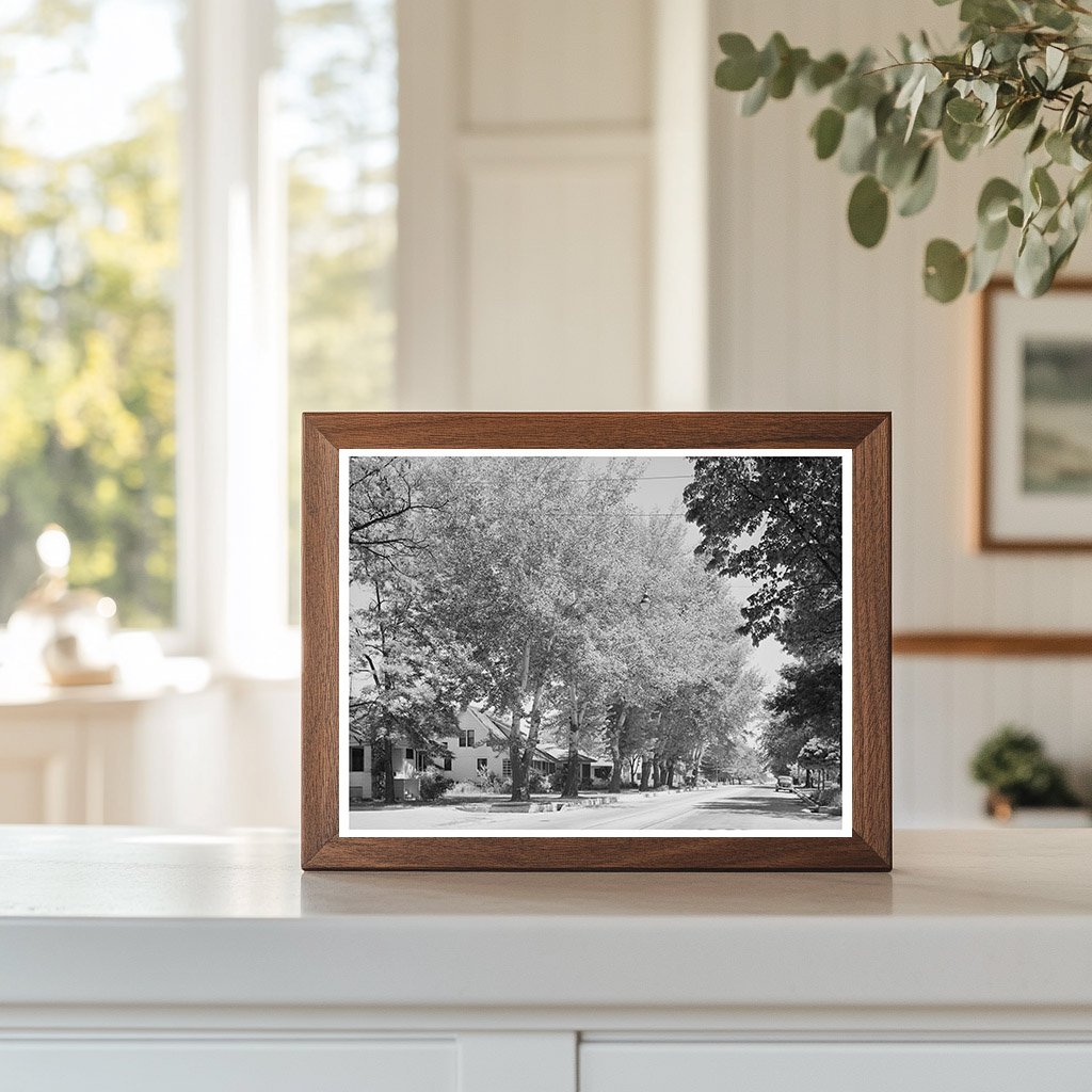 Caldwell Idaho Street Scene May 1941 FSA/OWI Collection