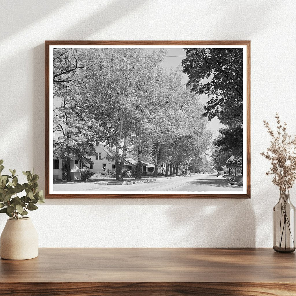 Caldwell Idaho Street Scene May 1941 FSA/OWI Collection