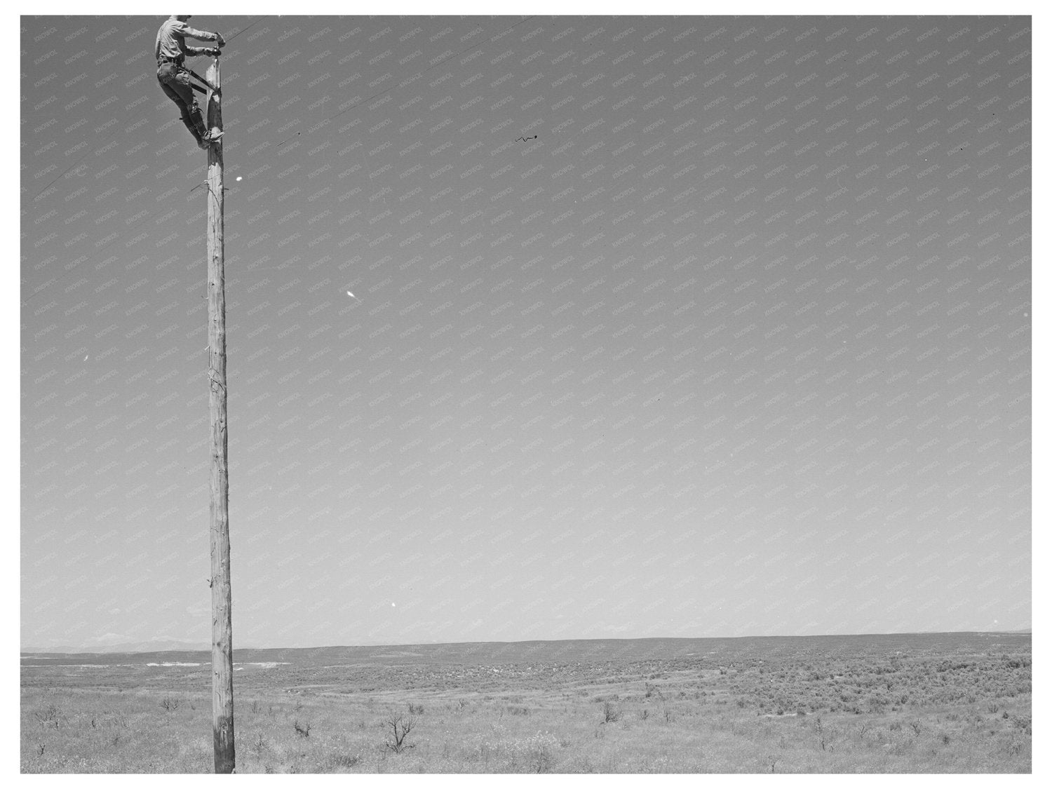 Canyon County Idaho Lineman Vintage Photo May 1941