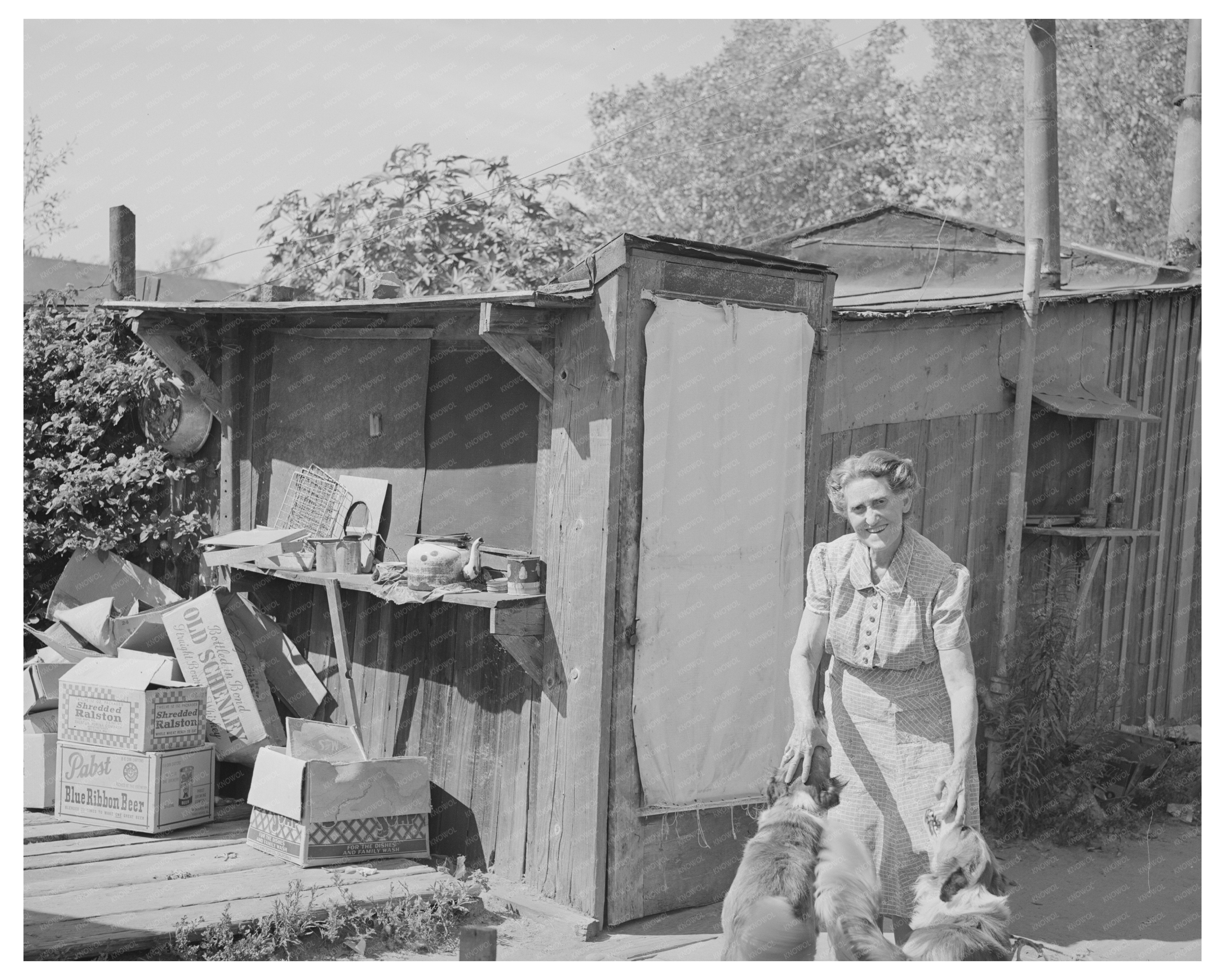 San Diego Shack House for Rent May 1941 15 Dollars Per Month