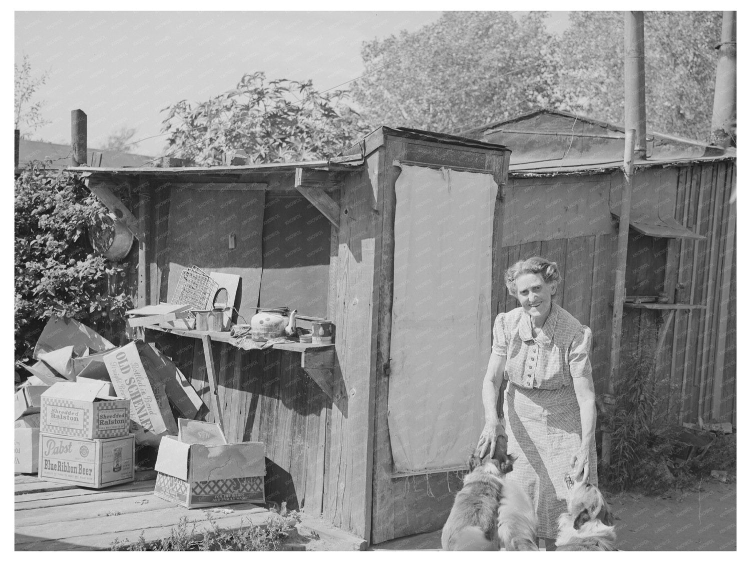 1941 Vintage Shack for Rent in San Diego California