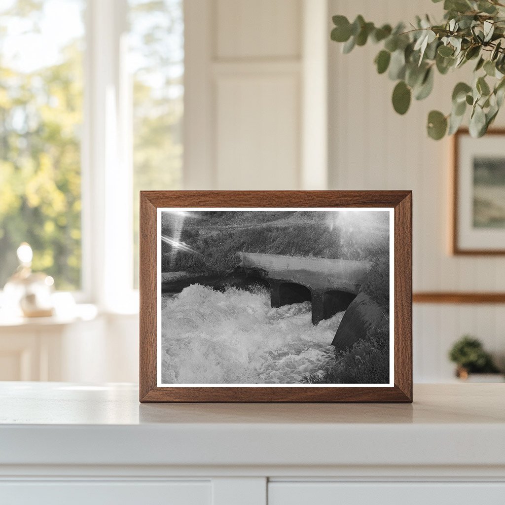 Irrigation Water Flowing from Deer Flat Reservoir 1941