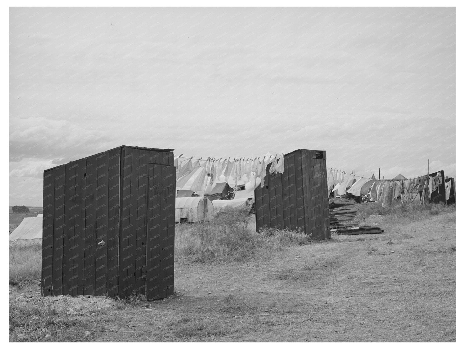 1941 Vintage Image of Privies at Idaho Pea Pickers Camp