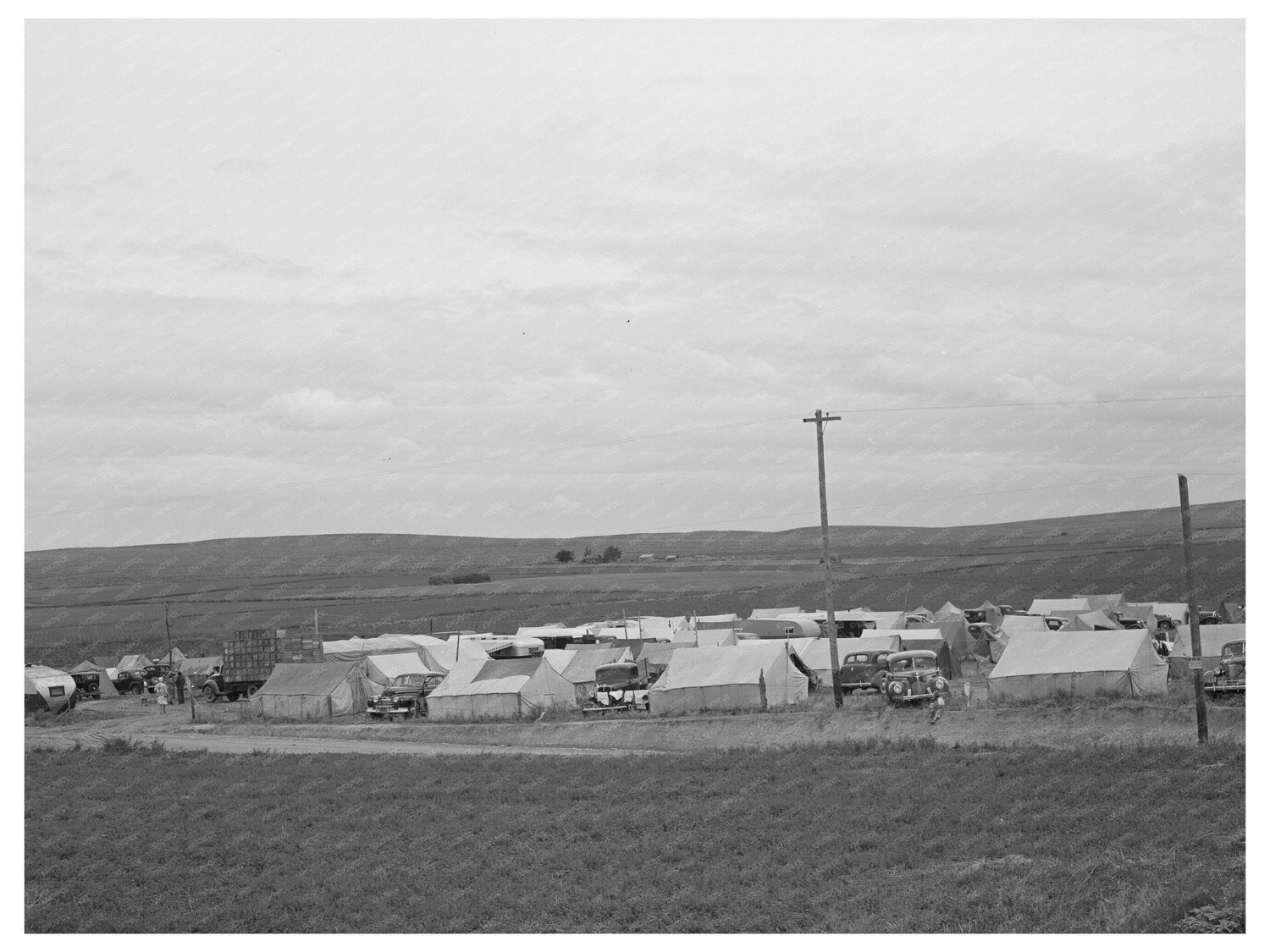Pea Pickers Camp Canyon County Idaho June 1941