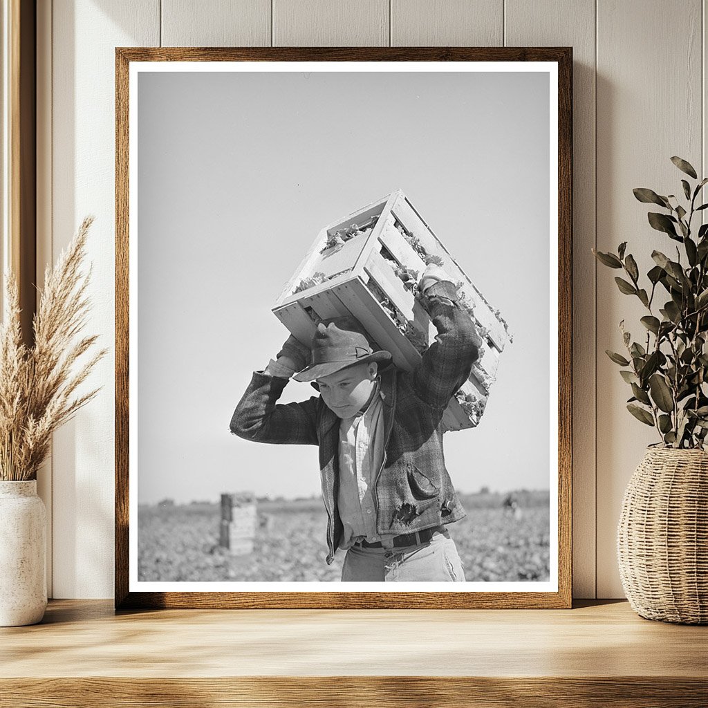Lettuce Picker in Canyon County Idaho June 1941