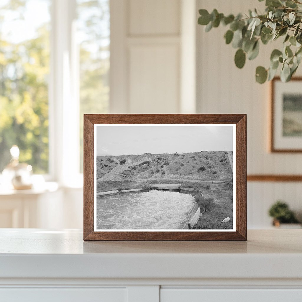 Irrigation Water Flows from Deer Flat Reservoir 1941