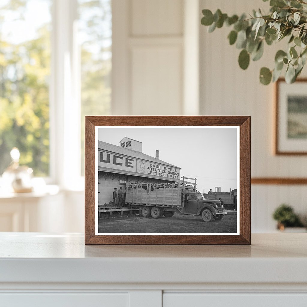 High School Students Picking Peas Idaho June 1941