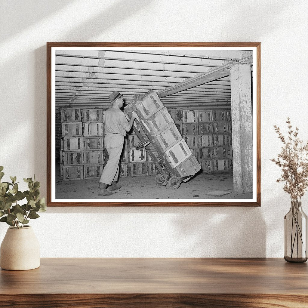 Lettuce Transport to Refrigerated Cars Canyon County 1941