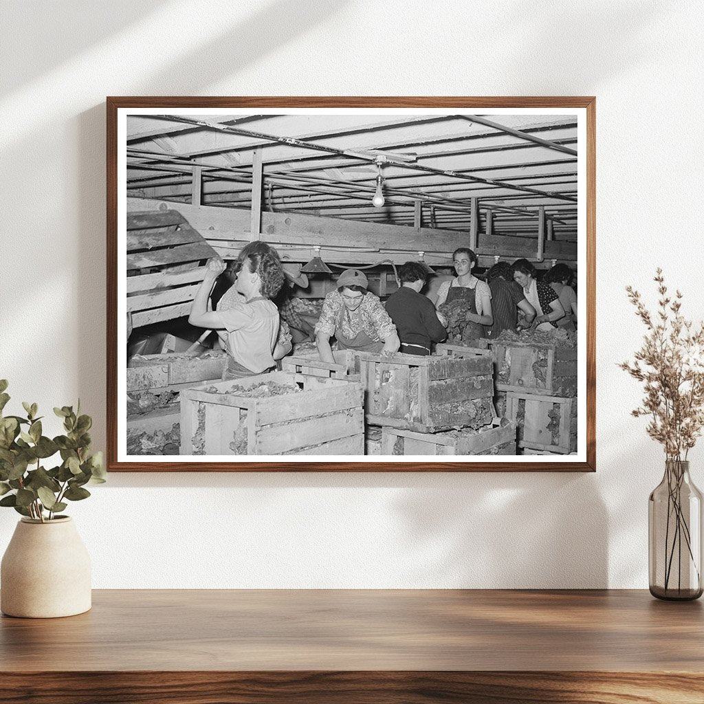 Cleaning and Packing Lettuce in Idaho 1941