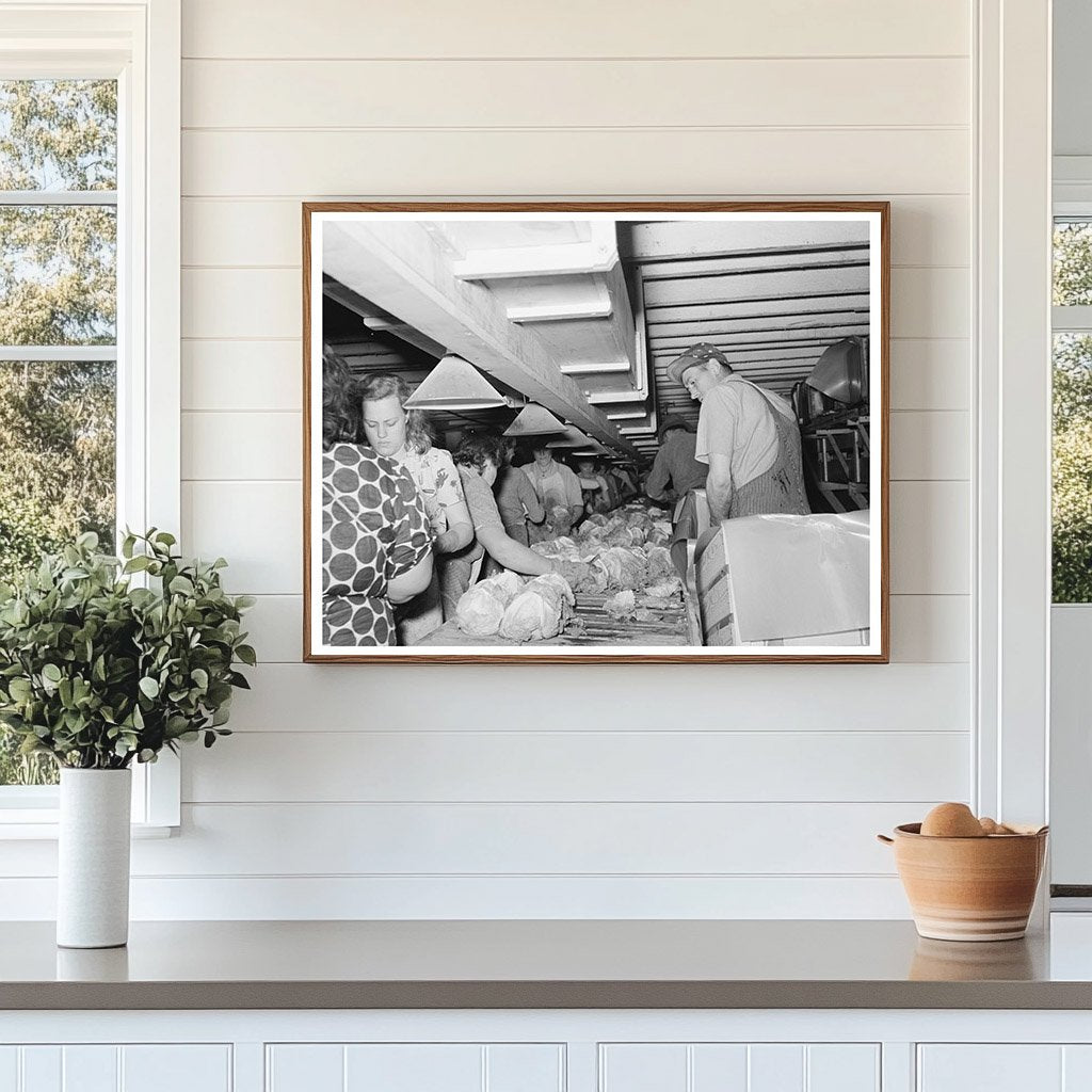 Grading and Packing Lettuce in Canyon County Idaho 1941