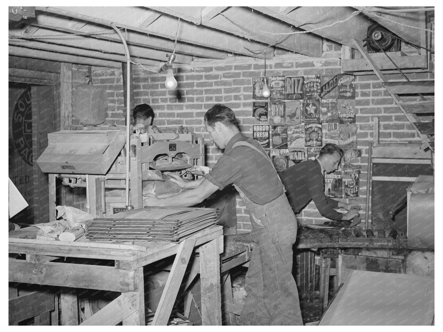 Lettuce Packing Plant in Canyon County Idaho June 1941