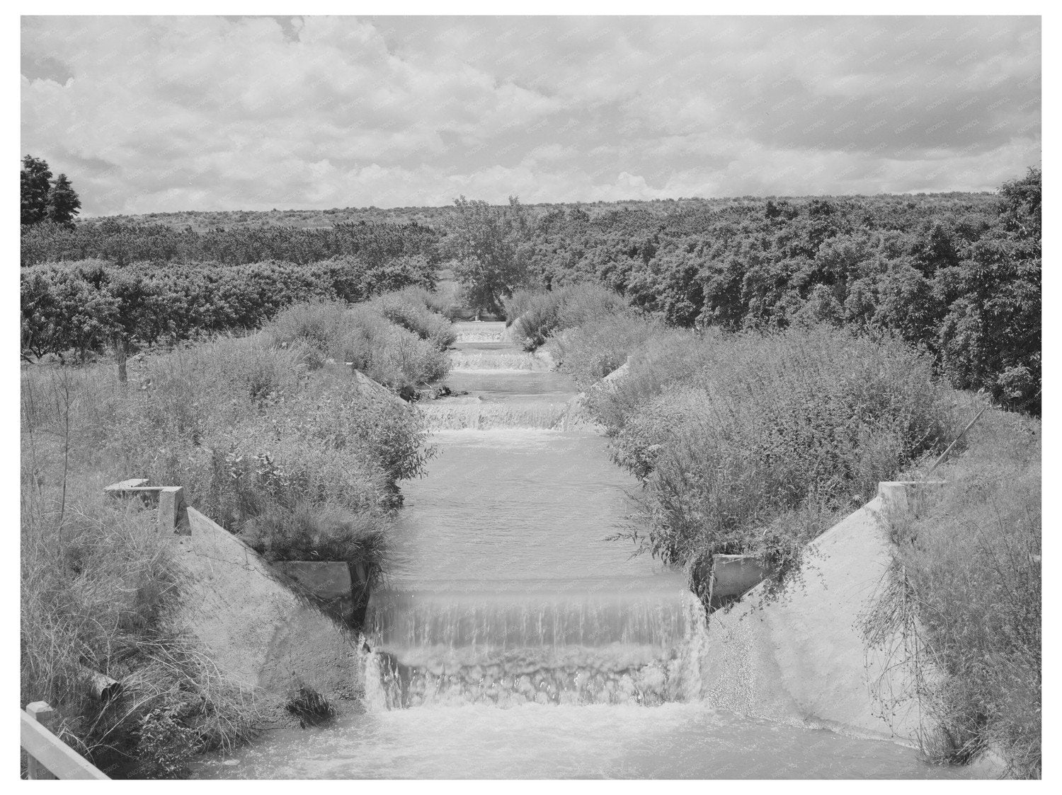 Canyon County Idaho Orchard Irrigation Ditch June 1941