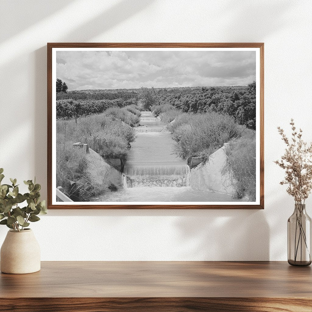 Canyon County Idaho Orchard Irrigation Ditch June 1941