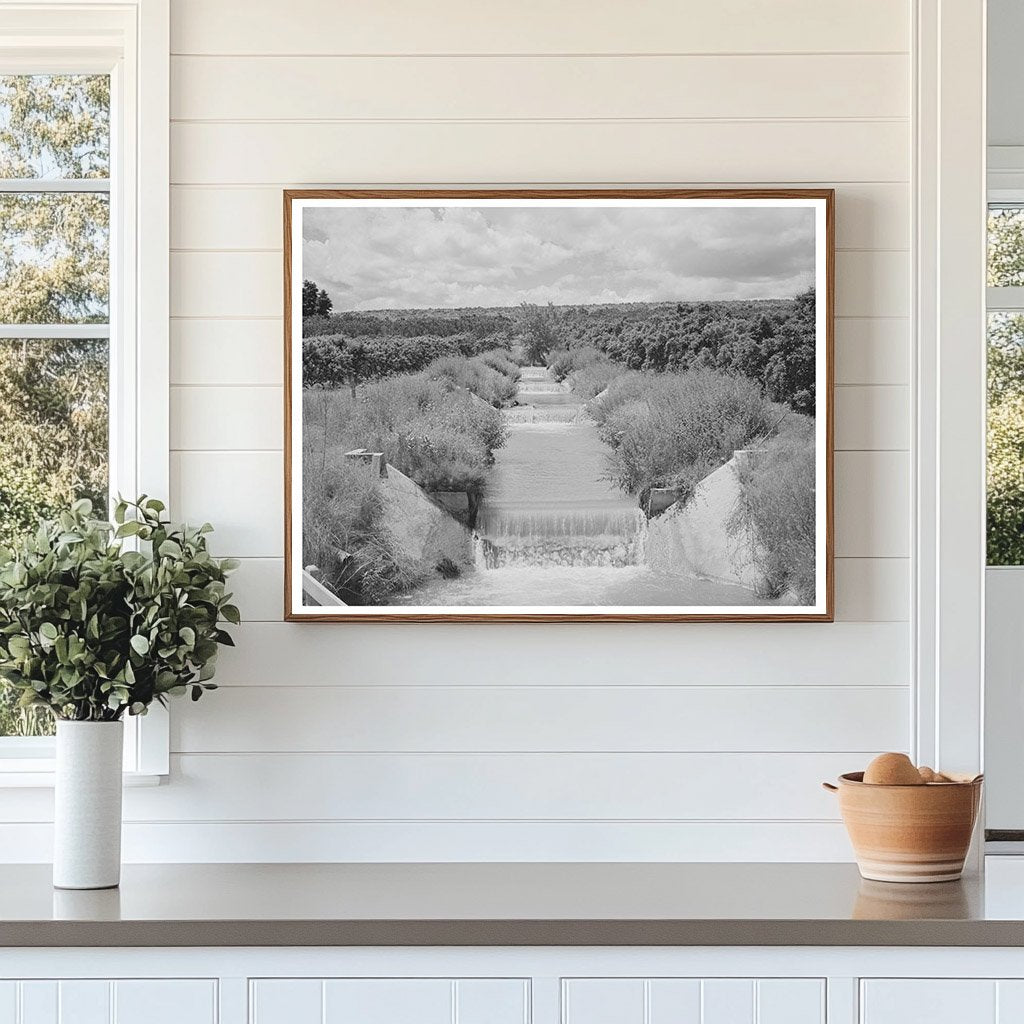 Canyon County Idaho Orchard Irrigation Ditch June 1941