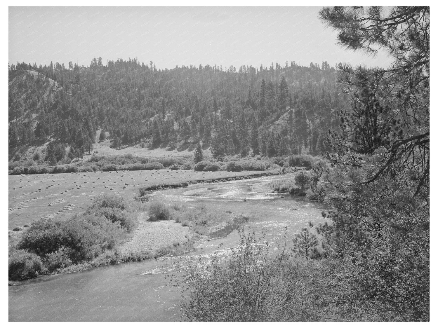 Garden Valley Idaho Farming Scene June 1941