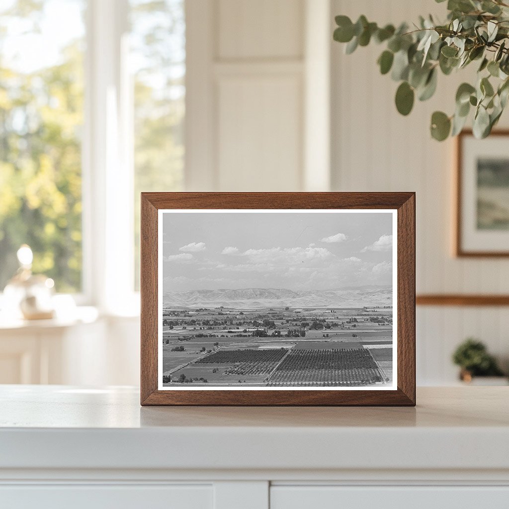 Cherry Orchards in Gem County Idaho 1941