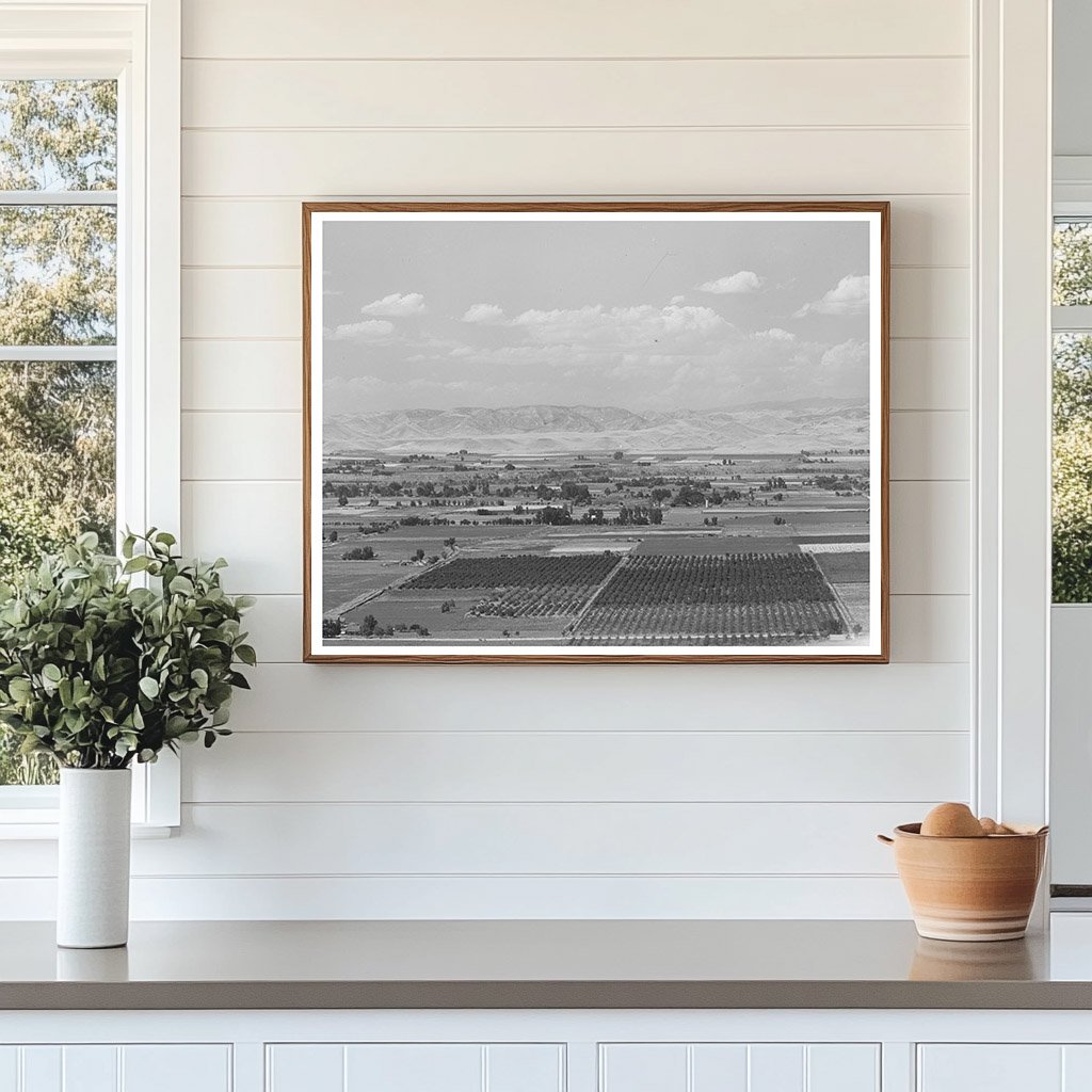 Cherry Orchards in Gem County Idaho 1941