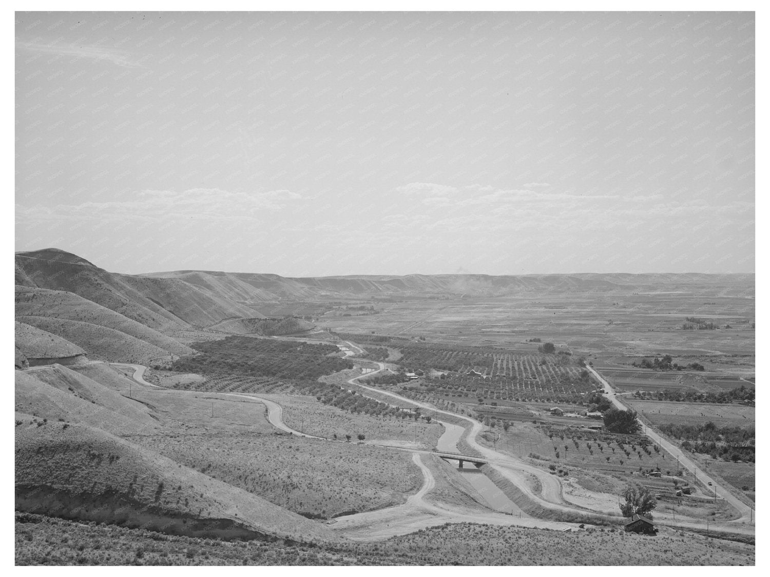 Cherry Orchards Emmett Idaho June 1941 Historical Photo