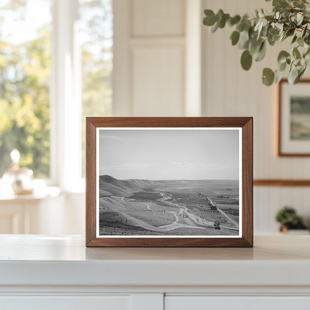 Cherry Orchards Emmett Idaho June 1941 Historical Photo