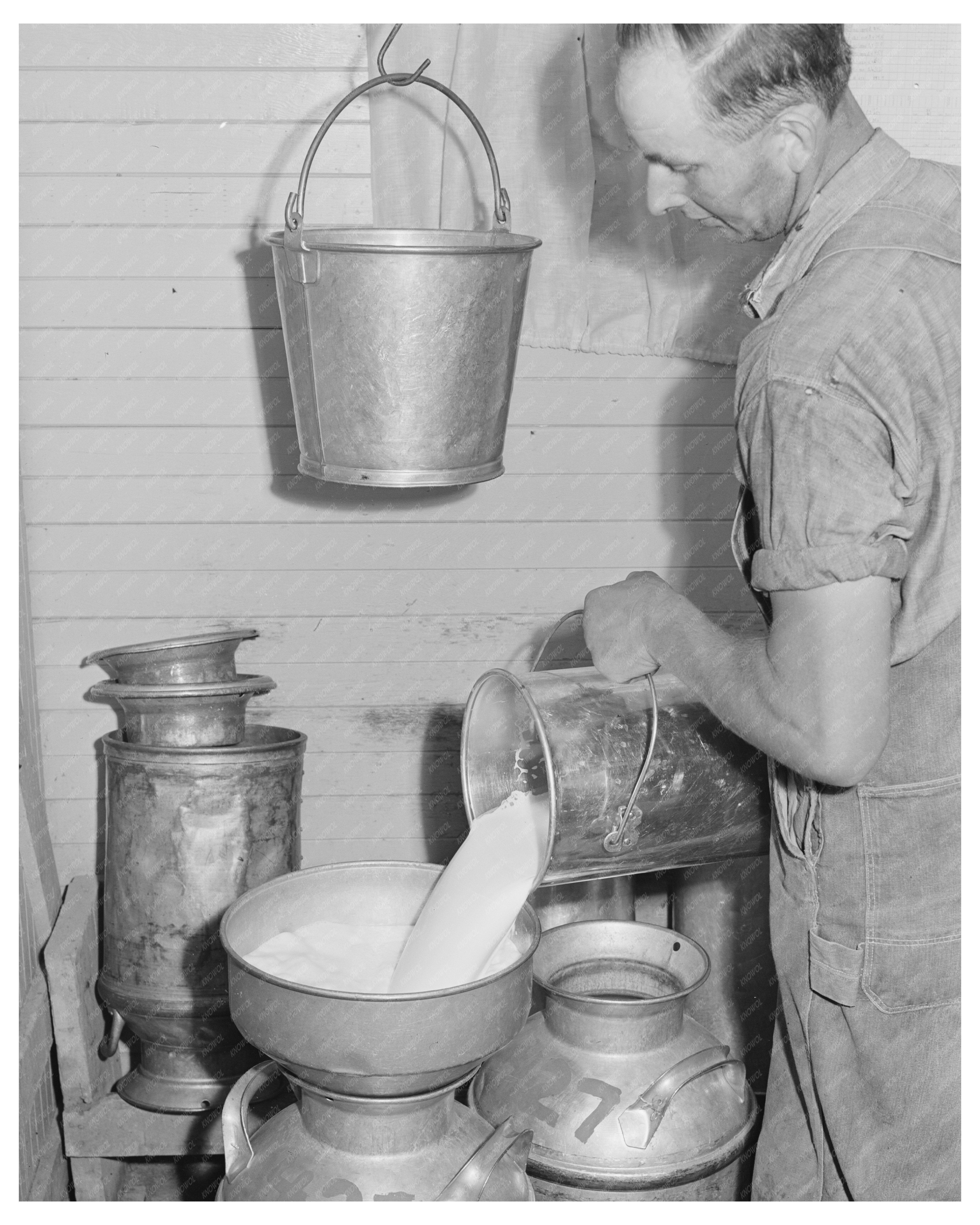 Milk Pouring Process at Dairymens Cooperative Creamery 1941