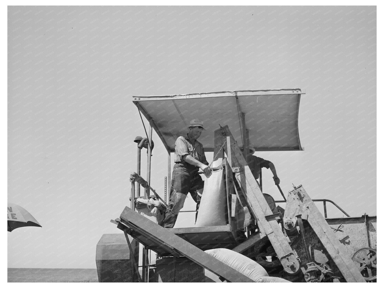 Sacker Operating Combine Harvester Whitman County 1941