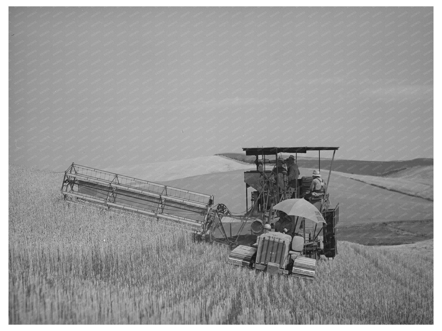 Caterpillar Combine Harvesting Wheat in Whitman County 1941