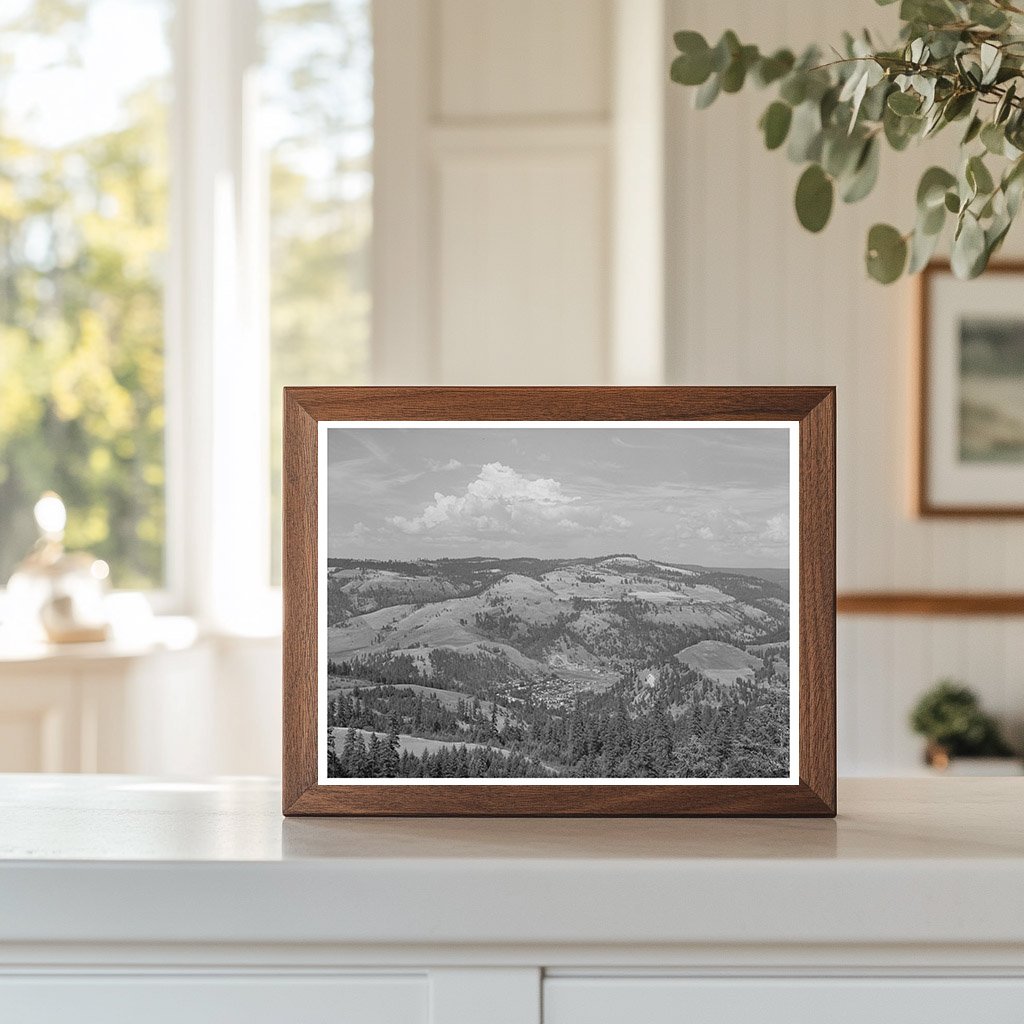 Orofino Idaho Lumbering Town Vintage Photo 1941