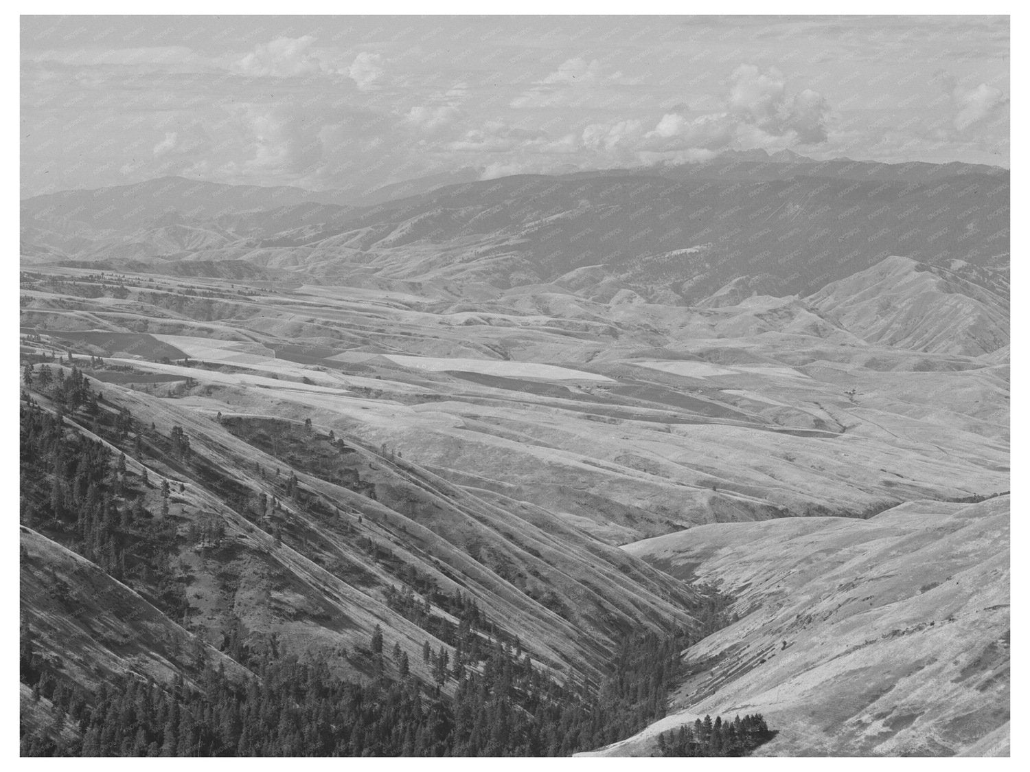 Farming Land from Whitebird Hill Idaho 1941