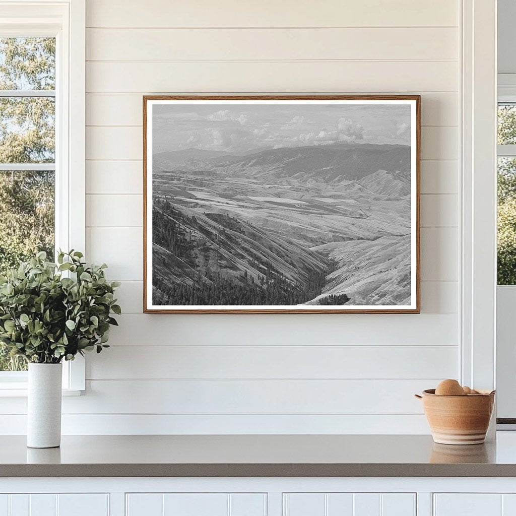 Farming Land from Whitebird Hill Idaho 1941