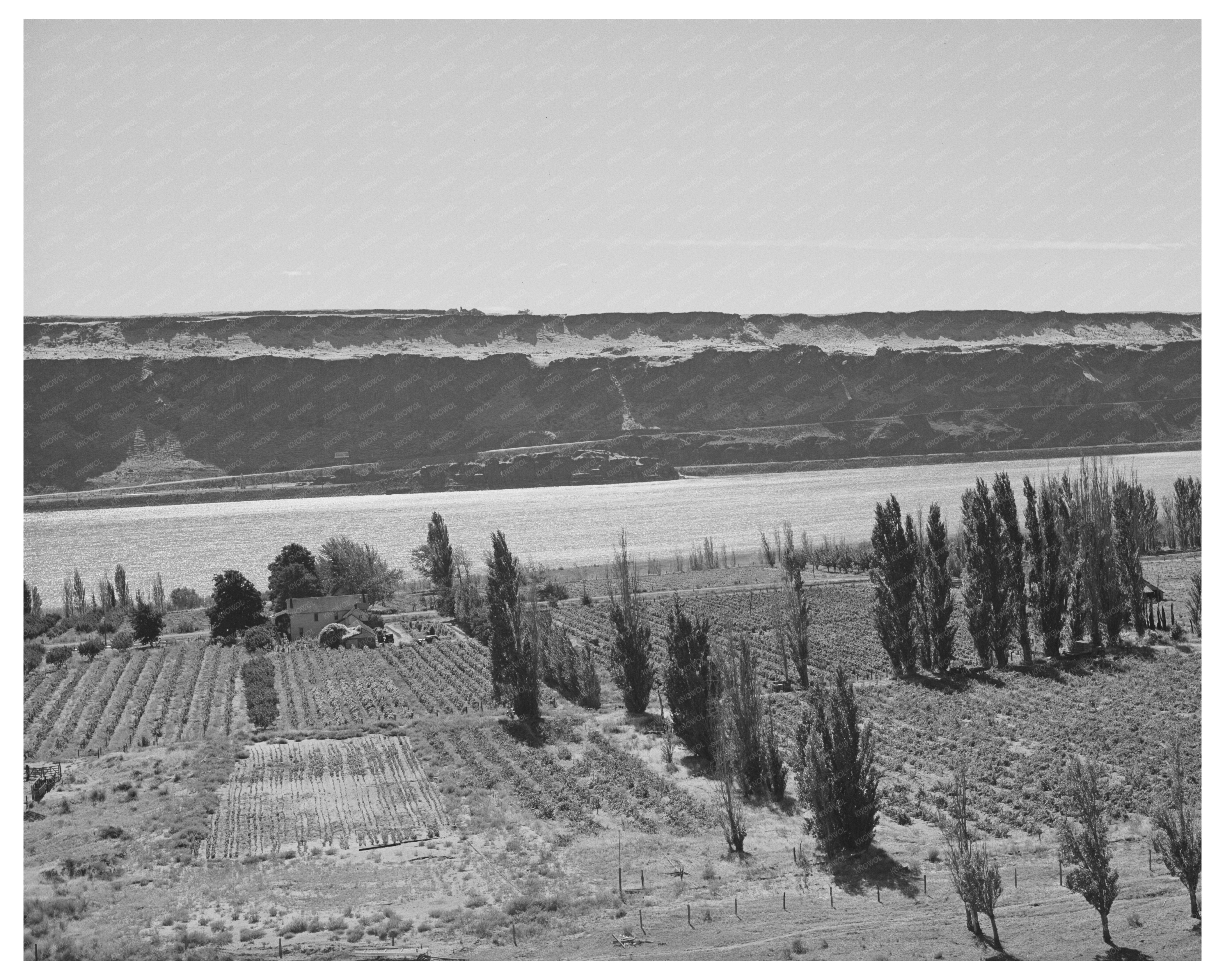 Farm Along Columbia River Klickitat County Washington 1941