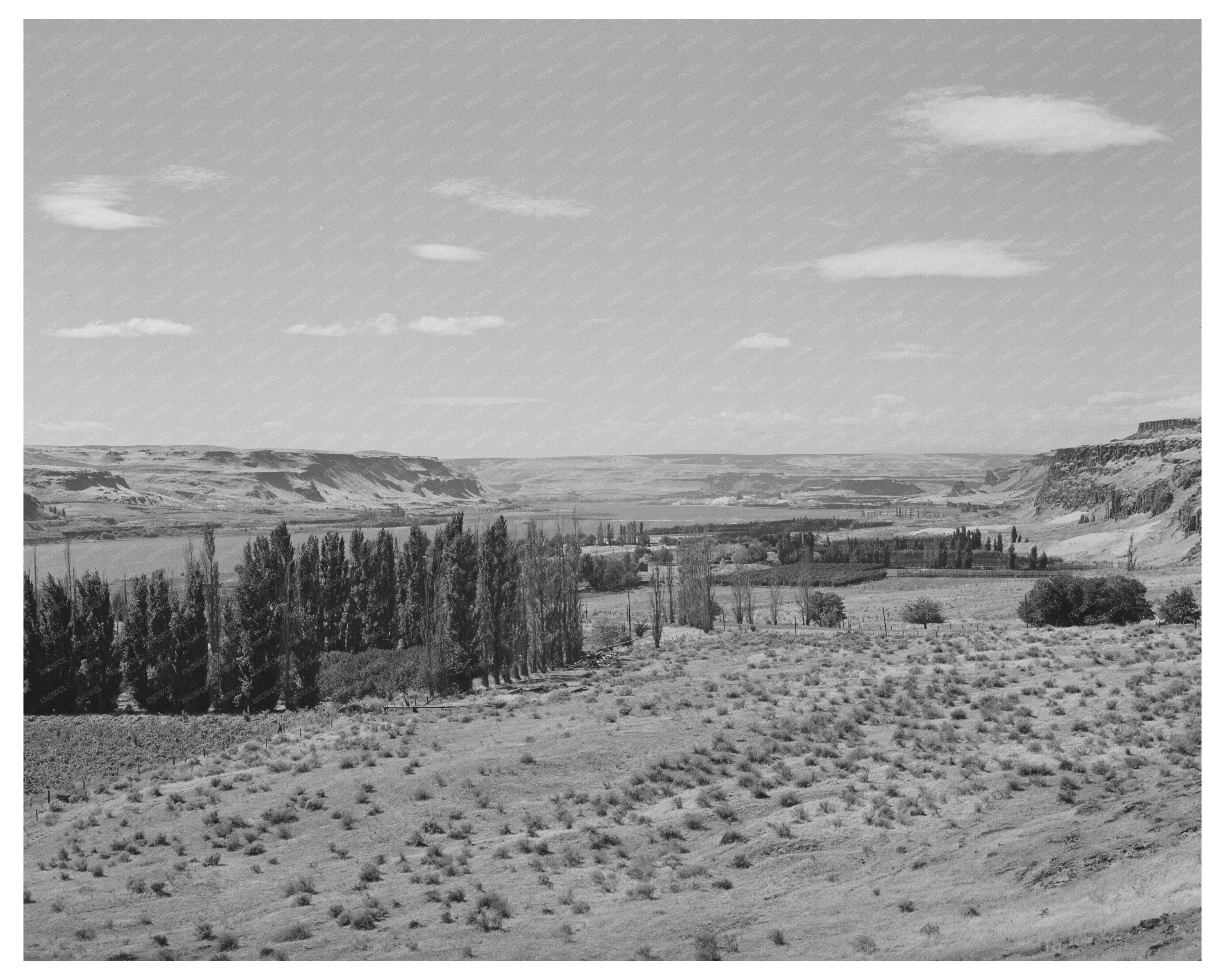 Columbia River Scene Klickitat County Washington 1941