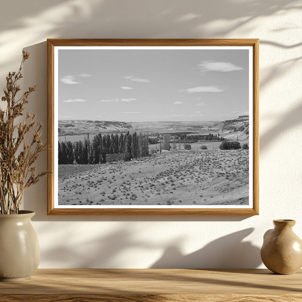 Columbia River Scene Klickitat County Washington 1941